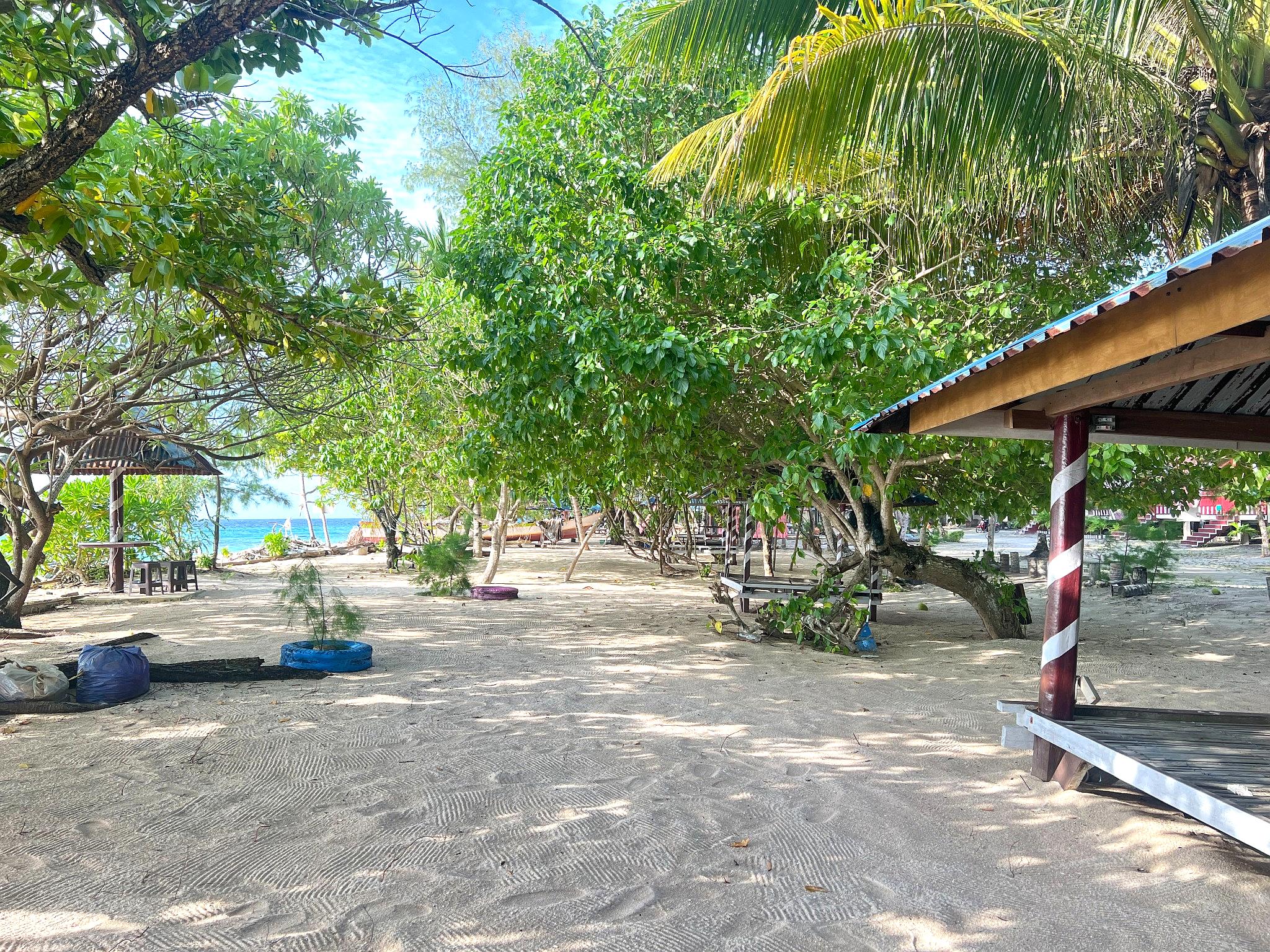 Pantai Cemara, Keindahan Pasir Putih di Bawah Teduhnya Cemara Laut